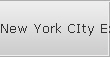 New York CIty External Raid Recovery